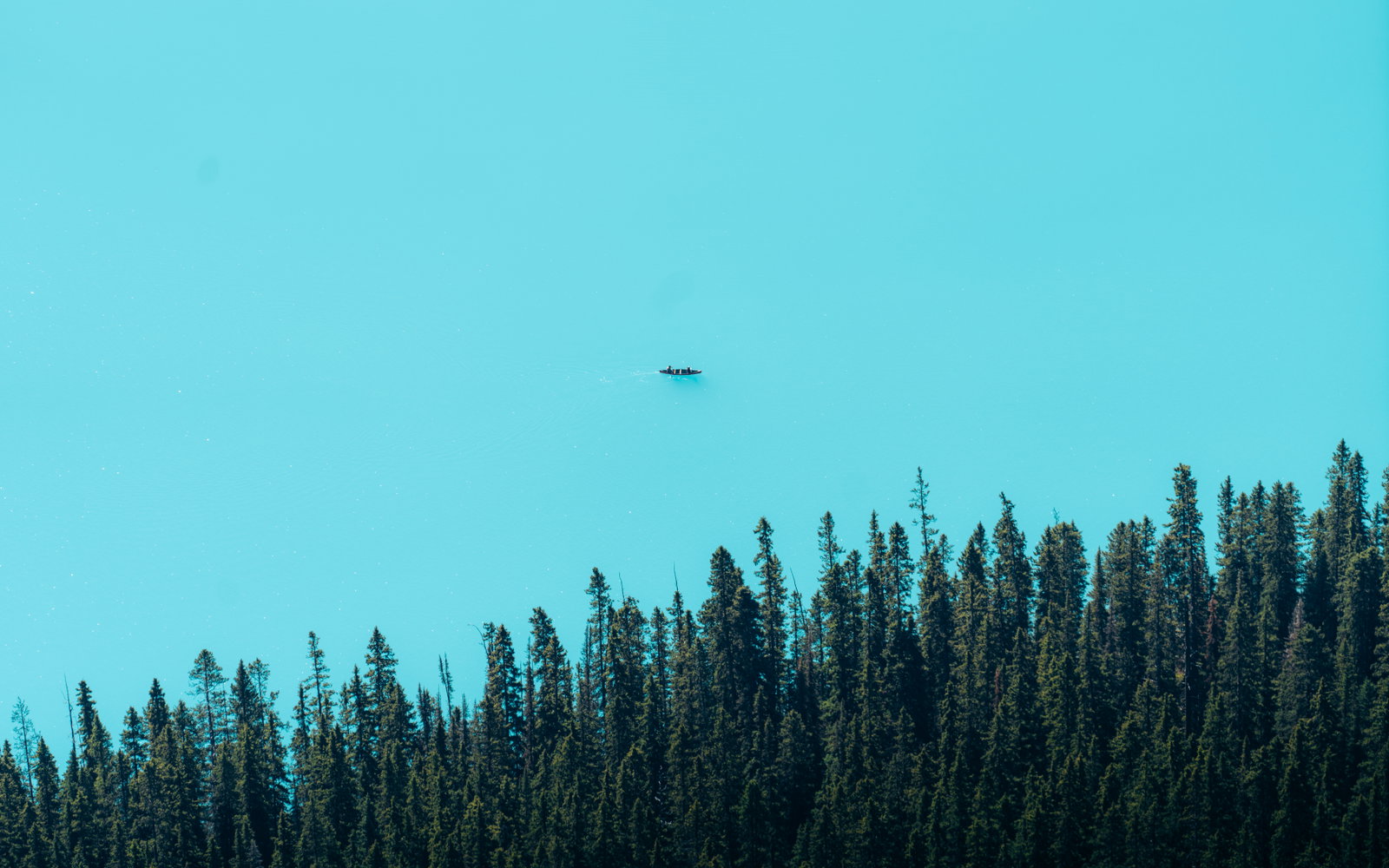 Lake Louise Adventure