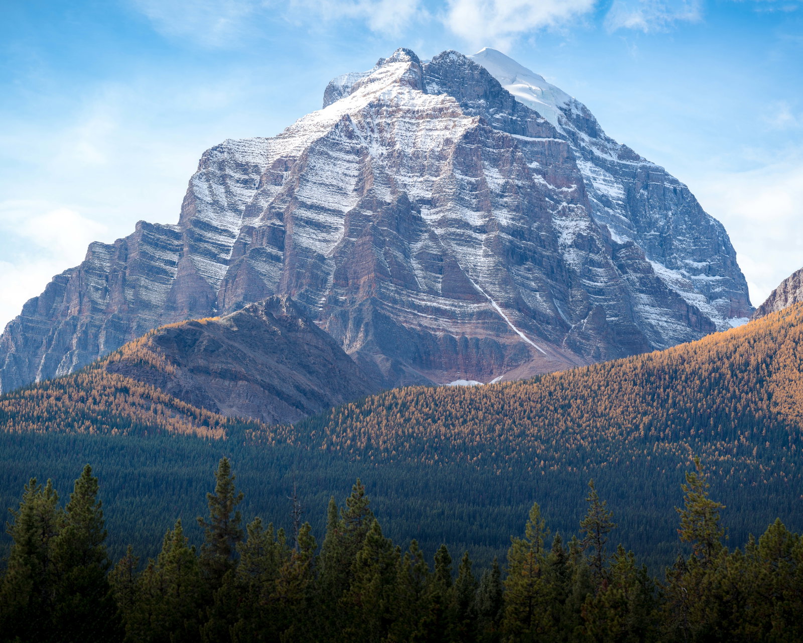 A view of Mount Temple with golden larches in the foreground in Banff National Park.