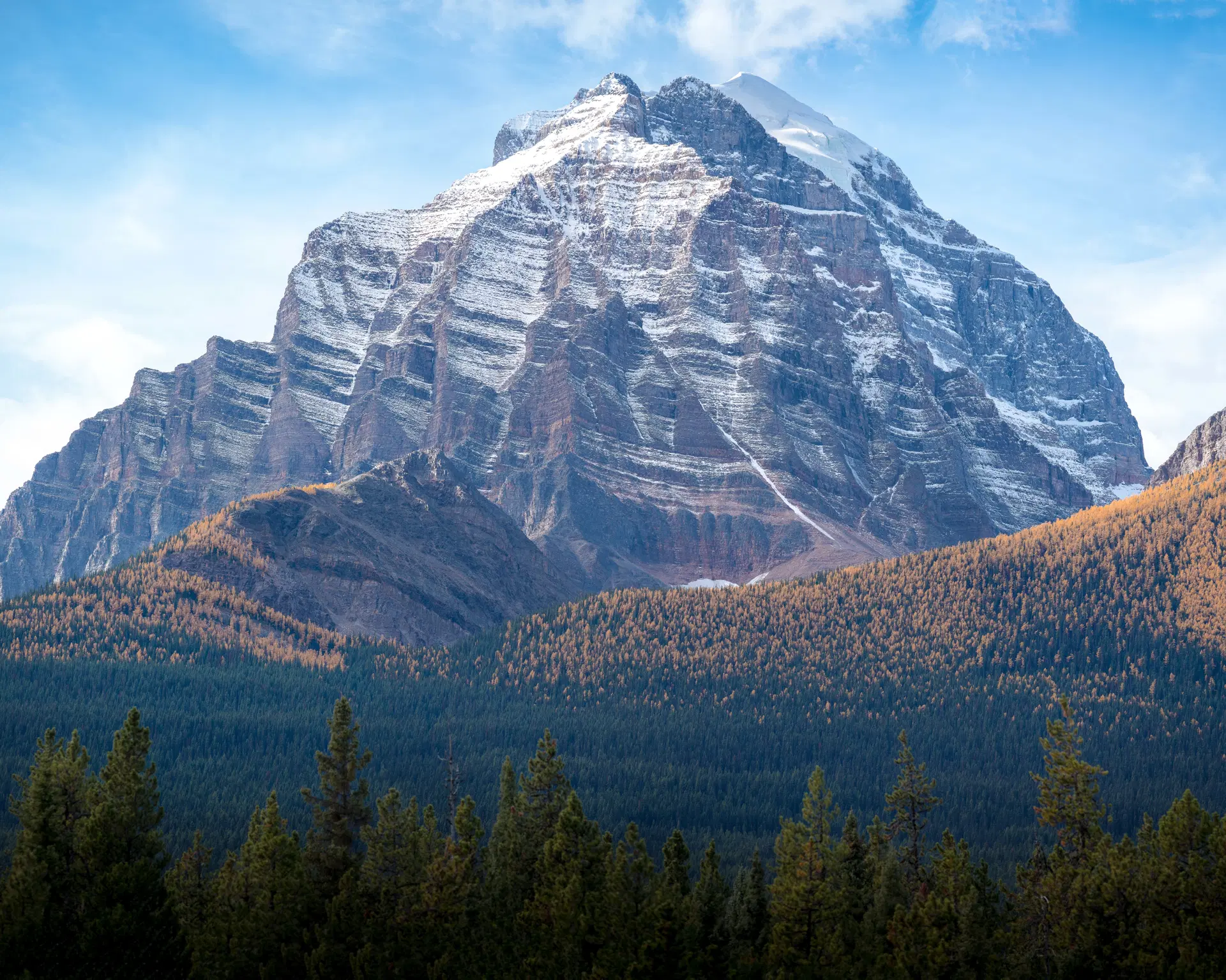 A view of Mount Temple with golden larches in the foreground in Banff National Park.