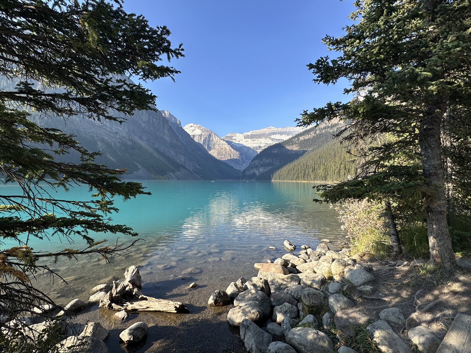 Photo 1 shared by Gina Tallent with her Google review of Via Via's Moraine Lake shuttle