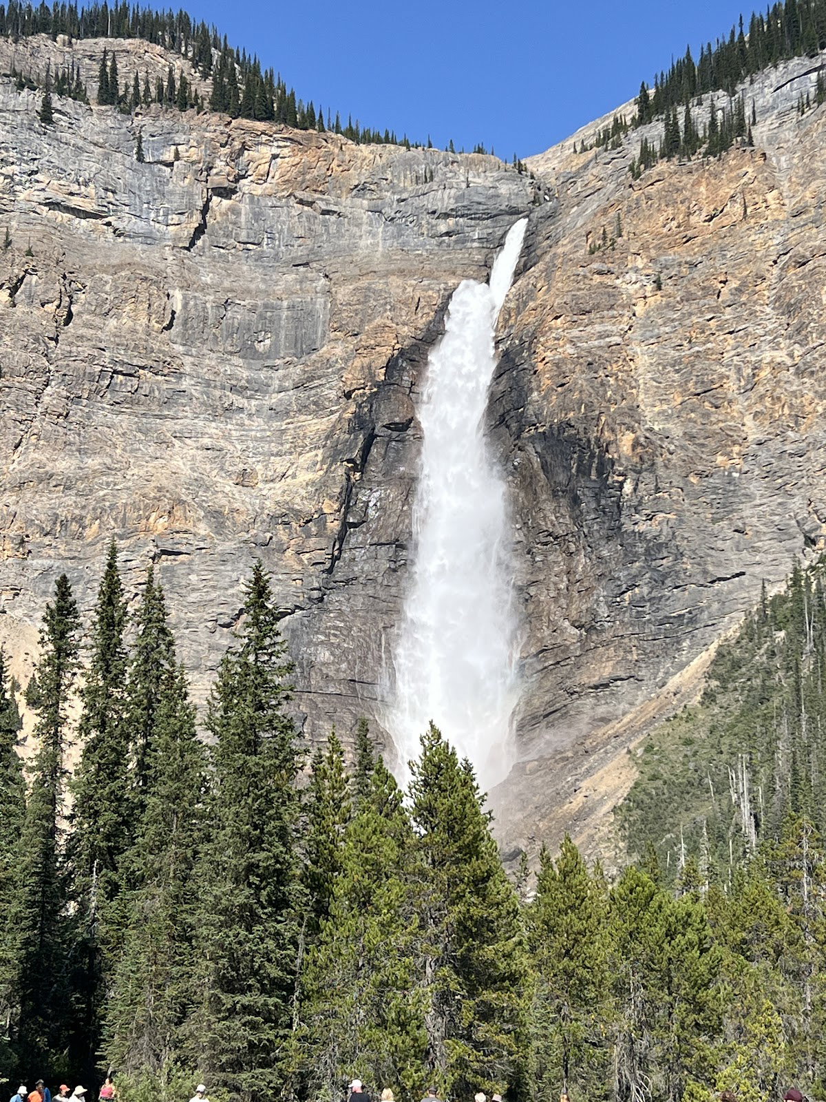 Takakkaw Falls cascading over a cliff in Yoho National Park